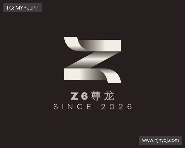 关于Z6尊龙